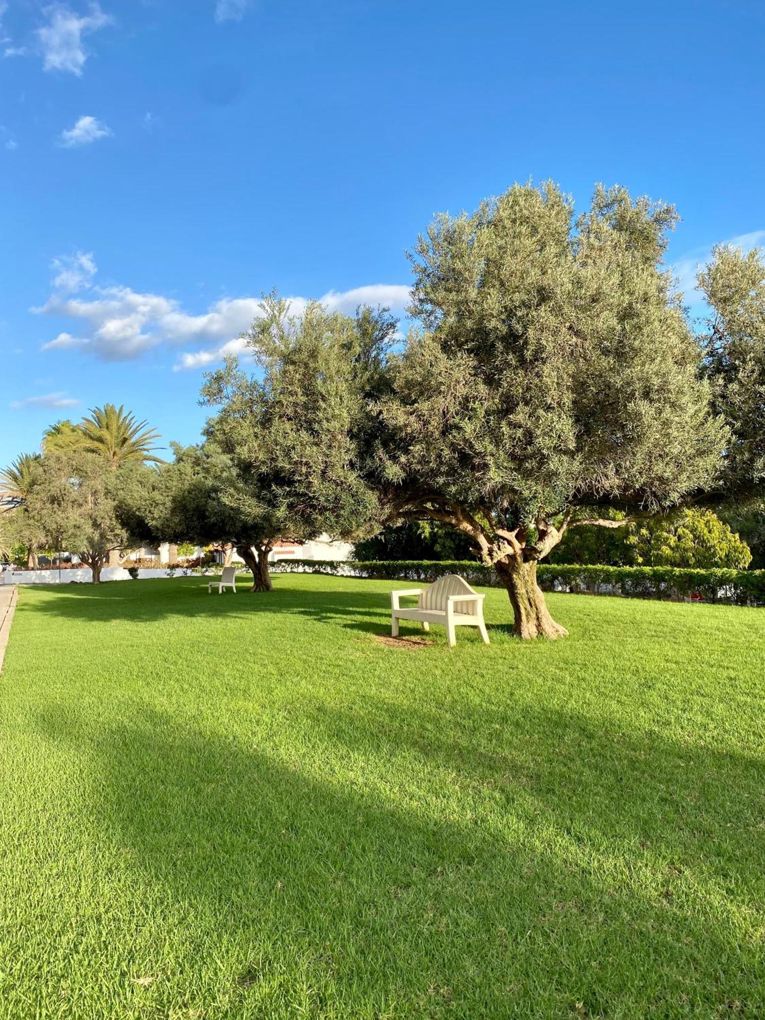 Casa Con Terraza Y Piscina En Pasito Blanco, Cerca De Maspalomas Luaran gambar